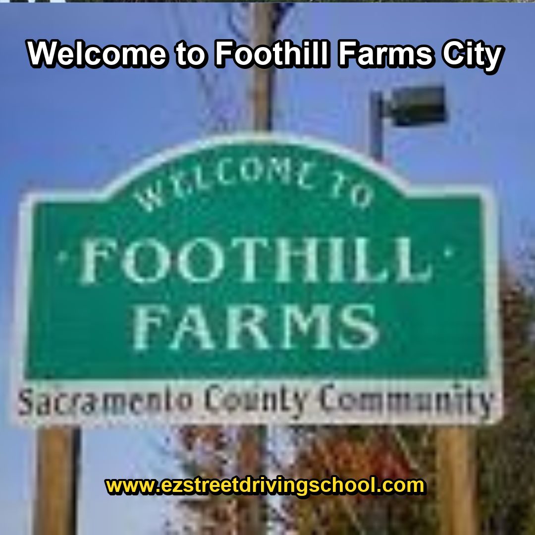 Driving Lessons in Foothill Farms